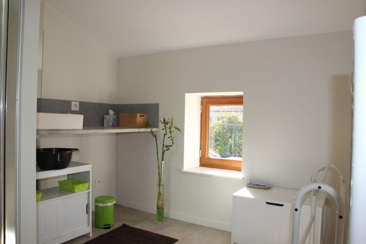 Grand Duplex Au Calme En Centre-Ville Villefranche-sur-Saone Exterior photo
